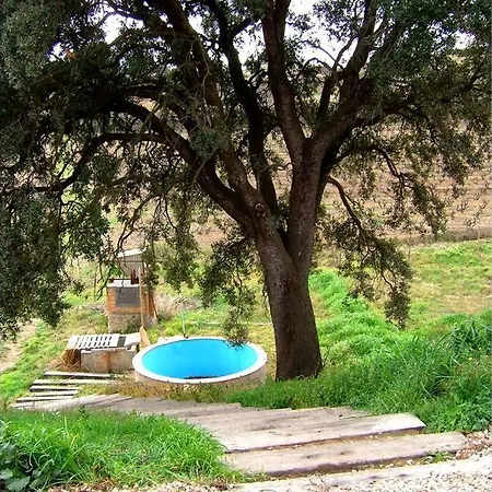 Casa Entre Vinyes 度假居 Font-Rubi