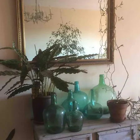 Casa Entre Vinyes 度假居 Font-Rubi